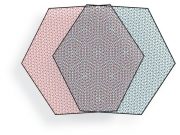 Experiments with twisted 2 D materials catch electrons behaving collectively