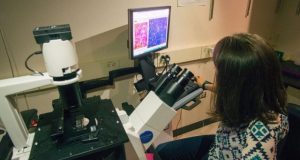 For the first time scientists demonstrate self repair mechanism in cells