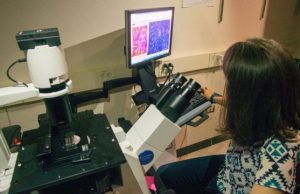 For the first time scientists demonstrate self repair mechanism in cells