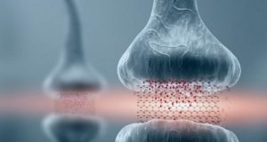 Graphene based memory resistors show promise for brain based computing