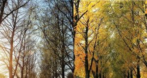 Human biology registers two seasons not four study suggests