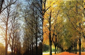 Human biology registers two seasons not four study suggests