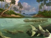 Large tides may have been a key factor in the evolution of bony fish and tetrapods