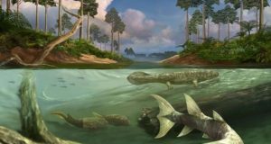 Large tides may have been a key factor in the evolution of bony fish and tetrapods