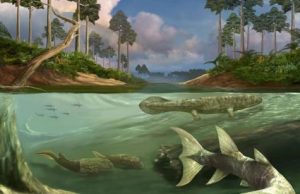 Large tides may have been a key factor in the evolution of bony fish and tetrapods