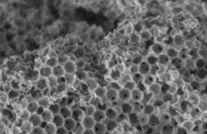 Making biodiesel from dirty old cooking oil just got way easier