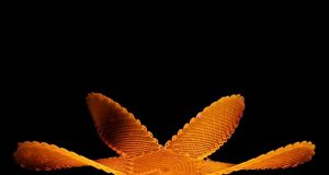 Materials scientists learn how to make liquid crystal shape shift 1