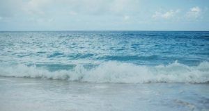 Metal deposits from Chinese coal plants end up in the Pacific Ocean research shows