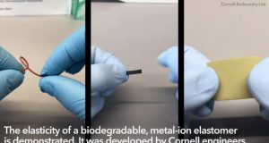Metal ion breakthrough leads to new biomaterials