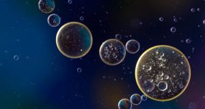 Nanoparticles can turn off genes in bone marrow cells