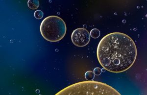 Nanoparticles can turn off genes in bone marrow cells