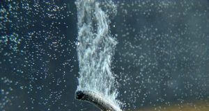 New insight brings sustainable hydrogen one step closer