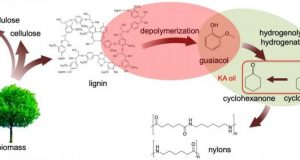 New process turns paper manufacturing waste into valuable chemicals