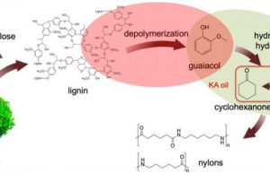 New process turns paper manufacturing waste into valuable chemicals