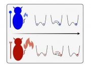 Research team discovers uniquely quantum effect in erasing information