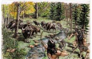 Researchers find bovid and rhinocerous species in Tibetan Plateau about 5200 years ago
