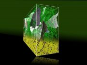 Researchers solve 100 year old metallurgy puzzle