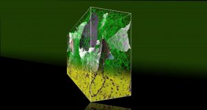 Researchers solve 100 year old metallurgy puzzle