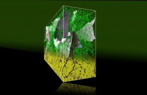 Researchers solve 100 year old metallurgy puzzle