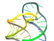Researchers use artificial intelligence language tools to decode molecular movements