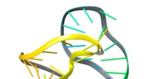 Researchers use artificial intelligence language tools to decode molecular movements
