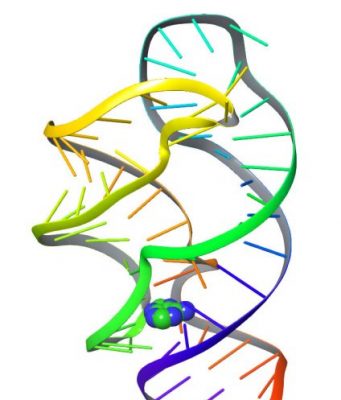Researchers use artificial intelligence language tools to decode molecular movements Researchers use artificial intelligence language tools to decode molecular movements