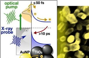 Scientists capture candid snapshots of electrons harvesting light at the atomic scale