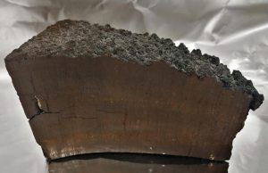 Stellar explosion in Earths proximity