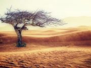 Trillions of extra economic damages predicted in new study of climate change effects