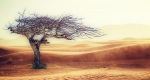 Trillions of extra economic damages predicted in new study of climate change effects