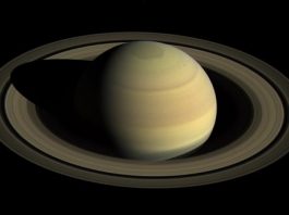 Where were Jupiter and Saturn born