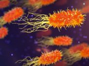 World first study shows that some microorganisms can bend the rules of evolution World first study shows that some microorganisms can bend the rules of evolution
