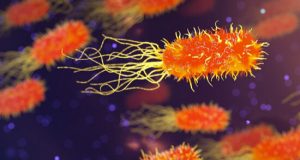 World first study shows that some microorganisms can bend the rules of evolution