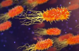 World first study shows that some microorganisms can bend the rules of evolution World first study shows that some microorganisms can bend the rules of evolution