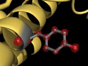 World record resolution in cryo electron microscopy