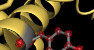 World record resolution in cryo electron microscopy