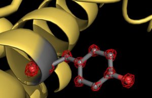 World record resolution in cryo electron microscopy