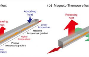 Worlds first direct observation of the magneto Thomson effect