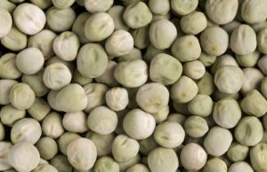 Wrinkled super pea could be added to foods to reduce diabetes risk
