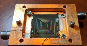 Bats have different song cultures and chatter about food sleep sex and other bats