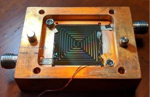 Bats have different song cultures and chatter about food sleep sex and other bats