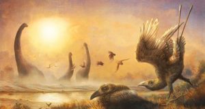 Bird with tall sickle shaped beak reveals hidden diversity during the age of dinosaurs