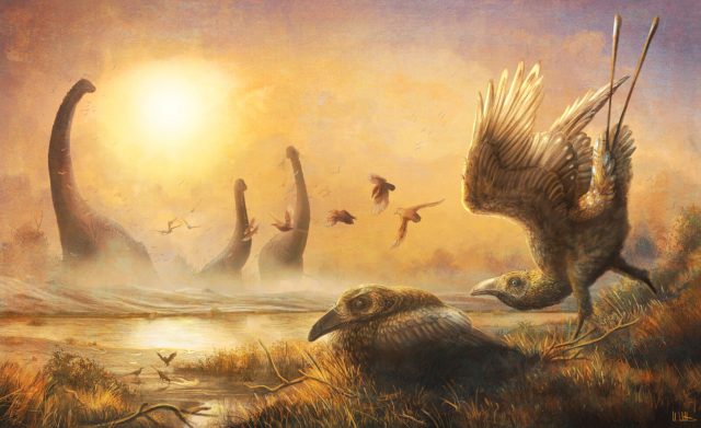 Bird with tall sickle shaped beak reveals hidden diversity during the age of dinosaurs