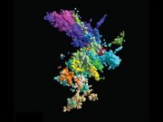 Chromosomes look different than you think