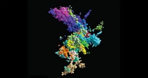 Chromosomes look different than you think