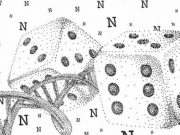 DNA molecules yield biochemical random number