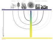Family tree of the Milky Way deciphered