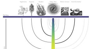 Family tree of the Milky Way deciphered