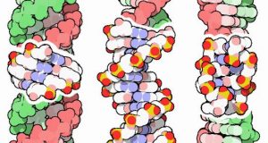 Genetic code evolution and Darwins evolution theory should consider DNA an energy code