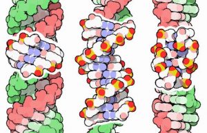 Genetic code evolution and Darwins evolution theory should consider DNA an energy code
